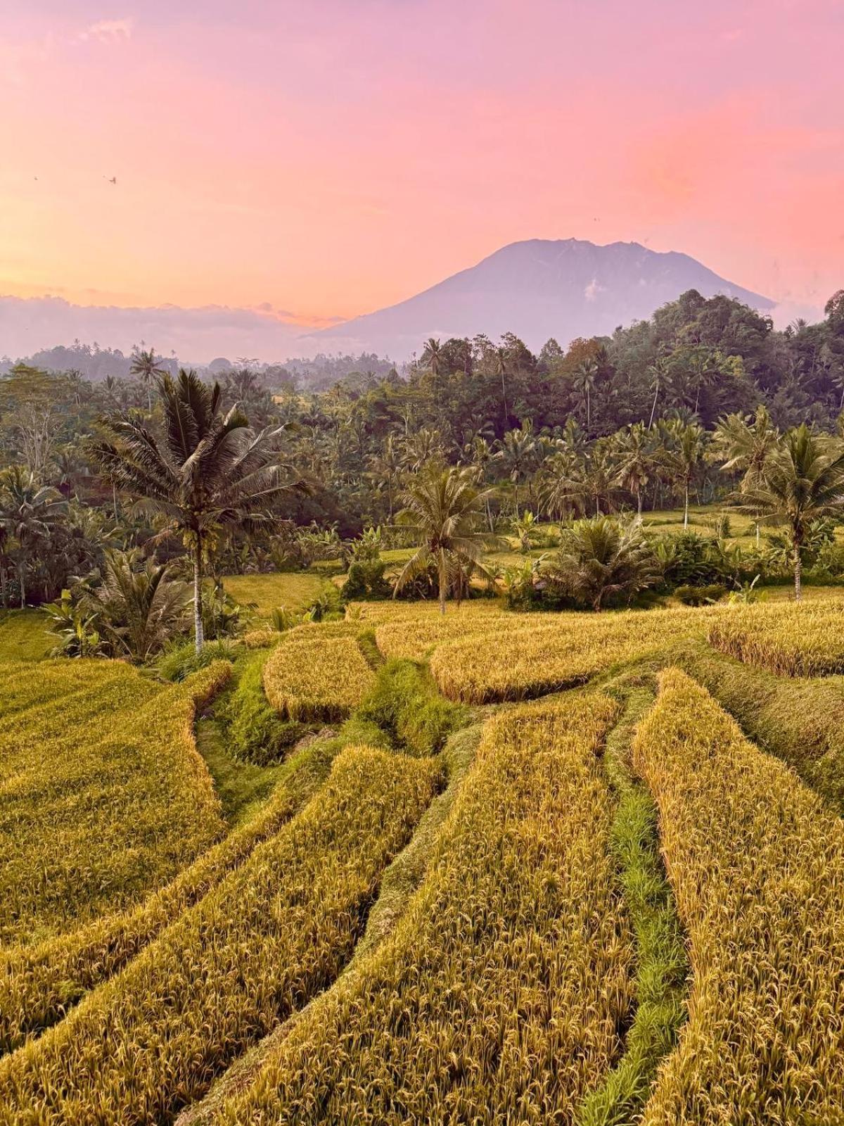Bisbis House Iseh Village Selat Exterior foto